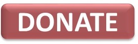 Donate Button